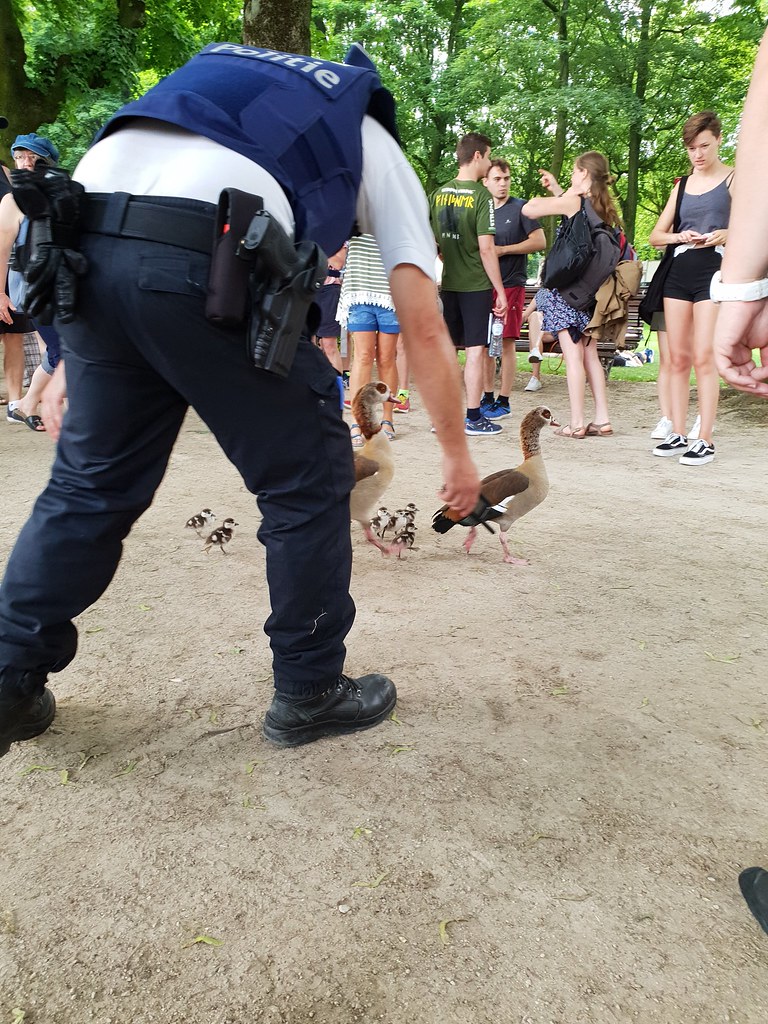 Another agent was present outside this view. Someone else told me they had seen five agents discussing the goose situation earlier.