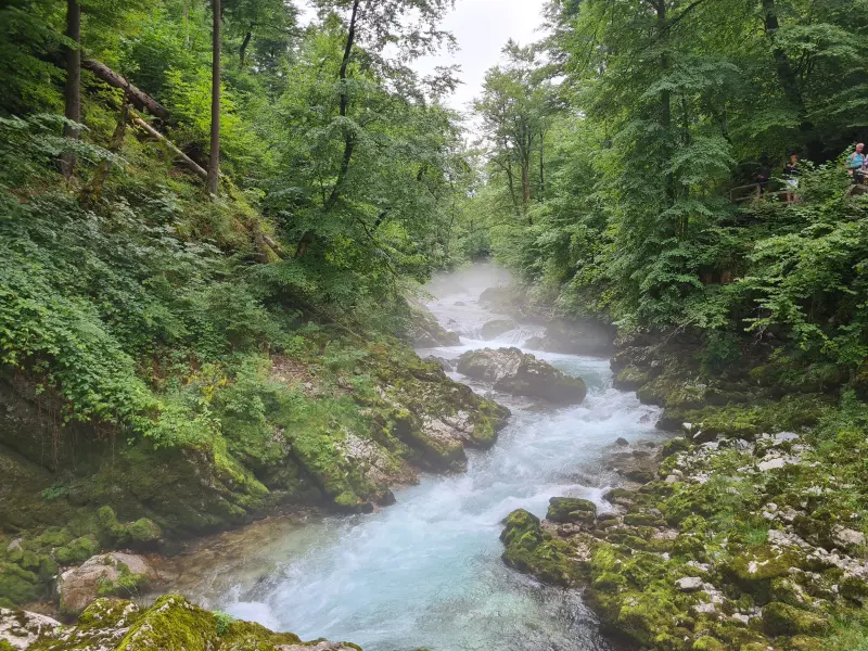 Gorgeous Gorge. Mist hanging over the water.