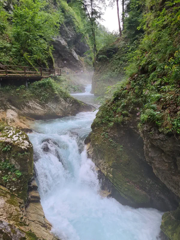 This little drop looked more impressive than the actual waterfall.