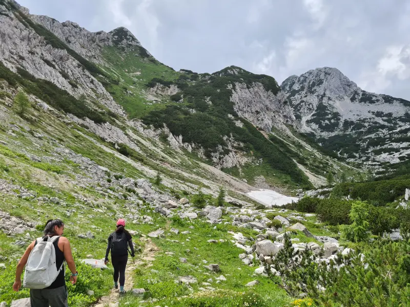 That white patch is ice/snow. We had to cross it to then go up the mountain in the background.