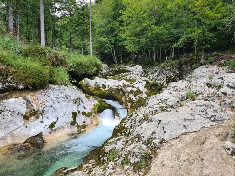 Mostnica gorge.